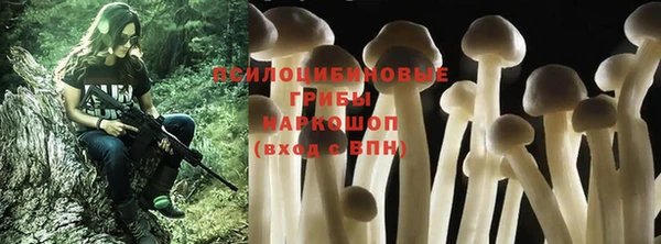 марки nbome Аркадак